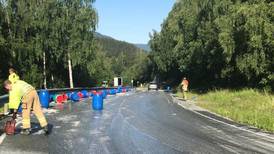 5.000 liter sild i veien i Trøndelag
